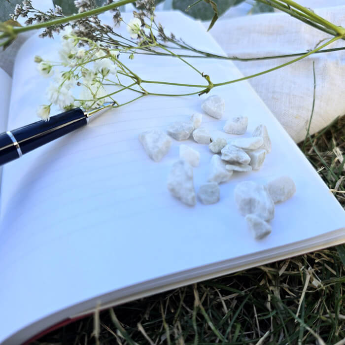 livre carnet d'écriture stylo
