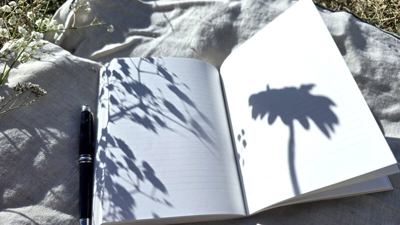 livre carnet d'écriture stylo